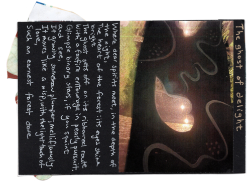 2023, The ghost of delight, text