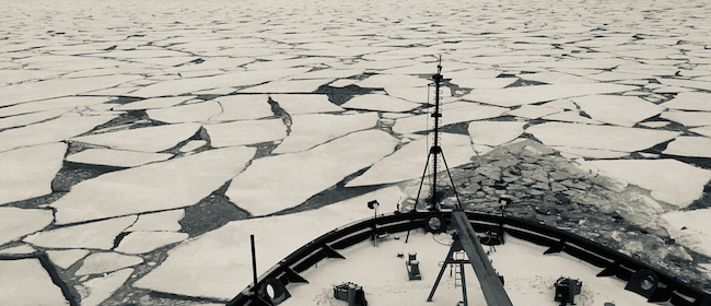 Arctic, Gianluca Meneghello