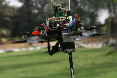 Hornet Image