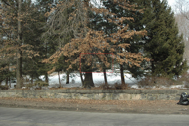 Img2135_resize