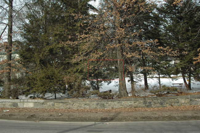 Img2137_resize