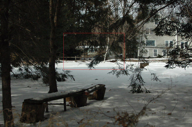 Img2139_resize
