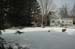 Img2143_resize