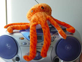 orange-octopus