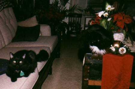 Priss and Sagan