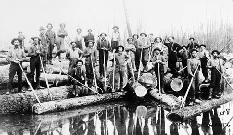 Men guiding logs down a river in Michigan in 1901