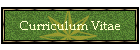 Curriculum Vitae