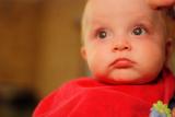Click on one of the size names above to enlarge this image Click on one of the size names above to enlarge this image