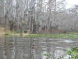 Click on one of the size names above to enlarge this image Click on one of the size names above to enlarge this image
