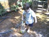 Click on one of the size names above to enlarge this image Click on one of the size names above to enlarge this image