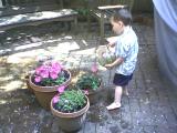 Click on one of the size names above to enlarge this image Click on one of the size names above to enlarge this image