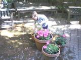 Click on one of the size names above to enlarge this image Click on one of the size names above to enlarge this image