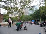Click on one of the size names above to enlarge this image Click on one of the size names above to enlarge this image
