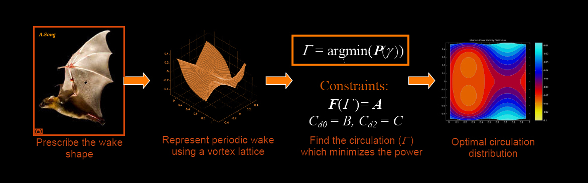 An illustration of the HallOpt process.&nbsp;