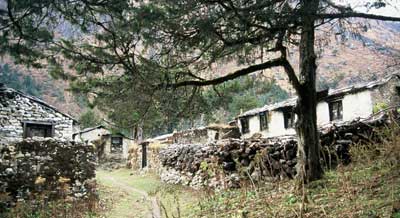 Nunnery Houses