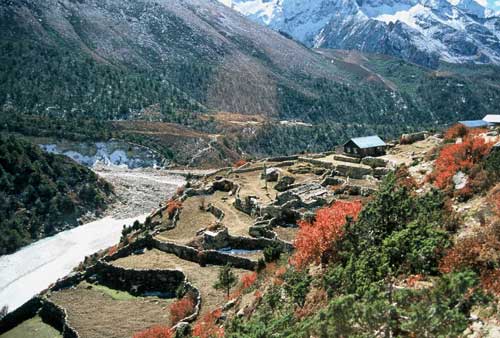 Terraced Farm Outside Dingboche