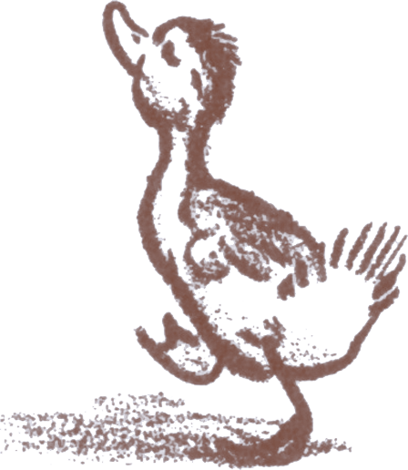 Illustration of Mrs. Mallard's duckling Jack