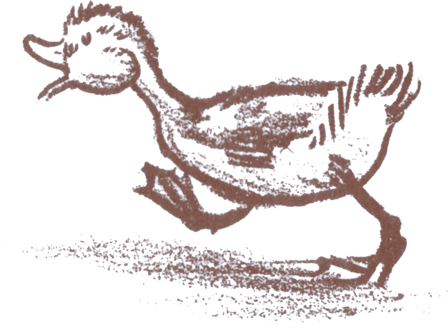 Illustration of Mrs. Mallard's duckling Quack
