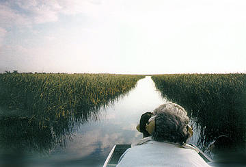 Water picture