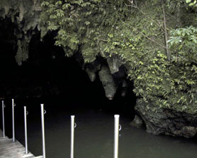 Waitomo caves