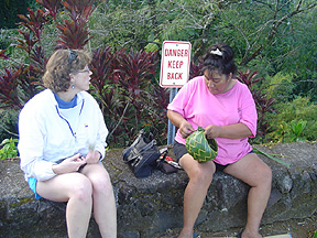 Professor Lisa Moore chats with a basket weaver at Akaka Falls State Park. 