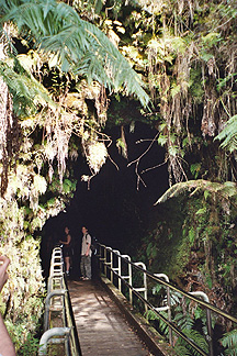 Emerging from the Thurstion Lavatube at Volcano National Park. 