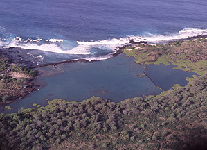 Aerial photo of Kaoloko Pond.