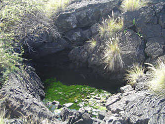 One of the more pristine anchialine ponds within the boundaries of Kaloko - Honokohau NHP. 
