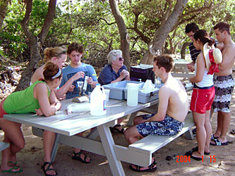 Setup of field filtering apparatus