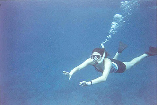 Laurie chasing after one of the wild dolphins. 