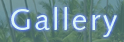 Gallery Link