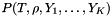 $ P(T, \rho, Y_1, \dots, Y_K) $