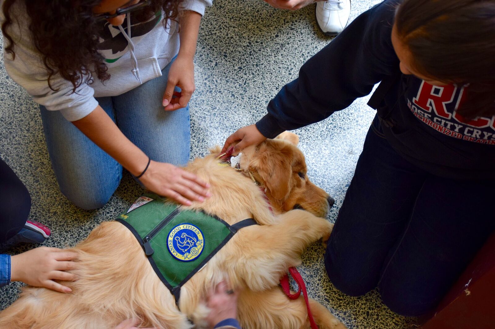 Students kneel on the floor while petting a dog with a vest that says, "Canine Good Citizen."