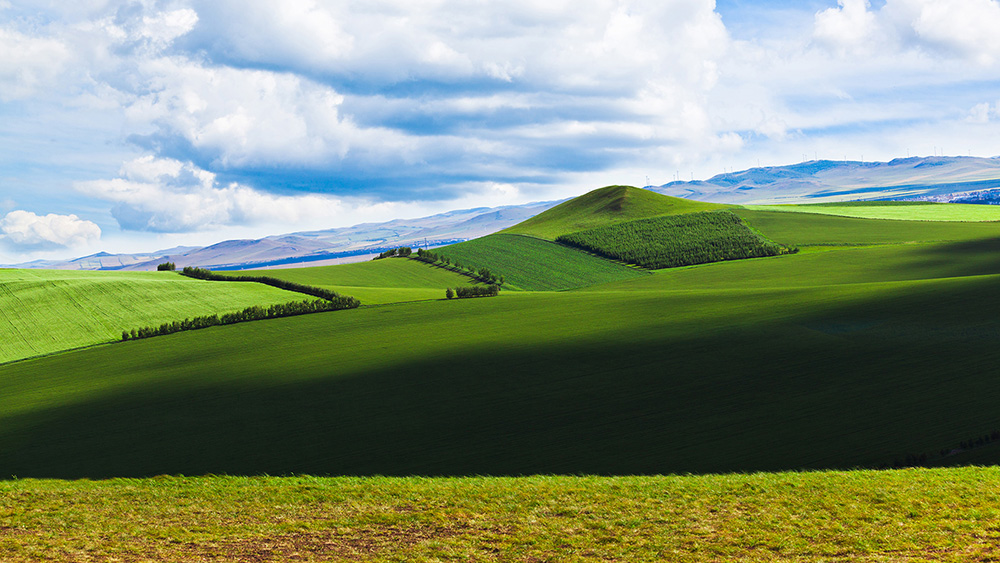 a stock image of the North China Plain