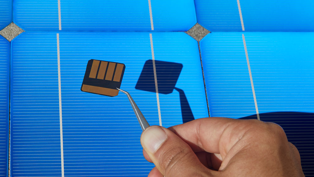 a perovskite chip held in the sun