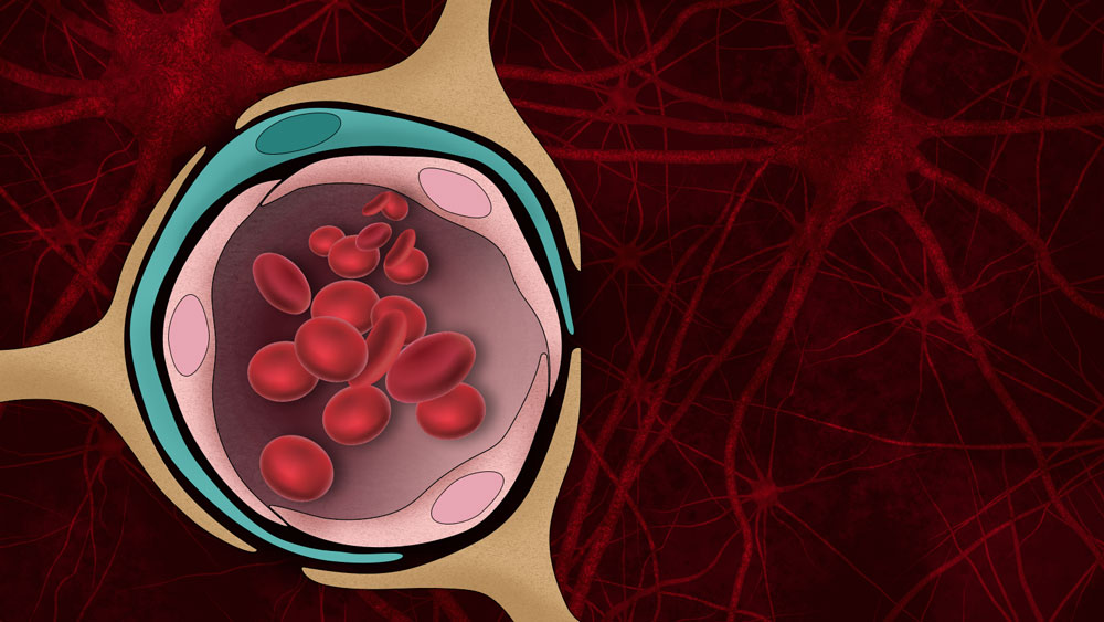 An illustration of the blood-brain barrier against a background of neurons