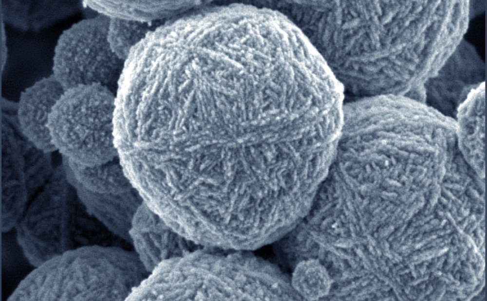 microscopic image of round Zeolites