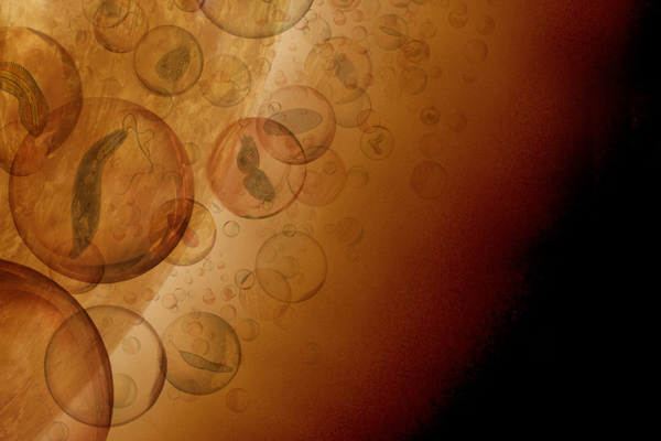 artist's rendering of venus with it's clouds full of micro-organisms