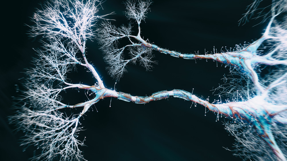 3-D illustration of glowing dendrites on black background