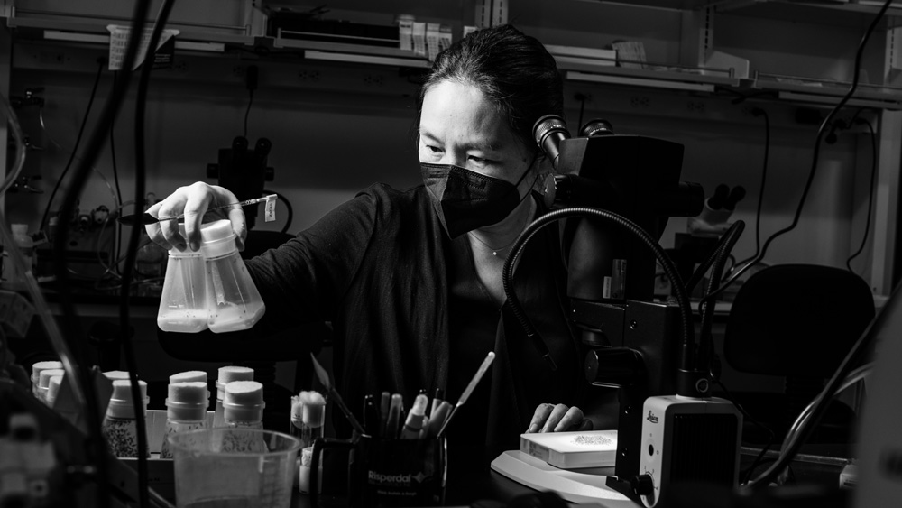 a black and white photo of Yukiko Yamashita working in her lab