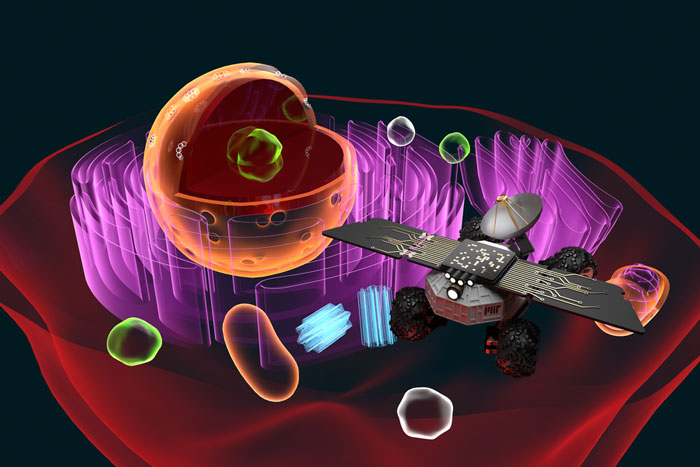 Colorful 3D graphic illustration of the insides of a cell, with a spaceship equipped with an dish antenna flying inside it