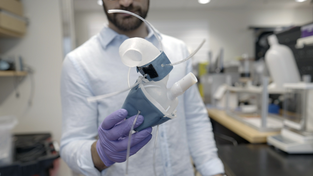 person in a lab holding a 3D printed replica of a person's heart