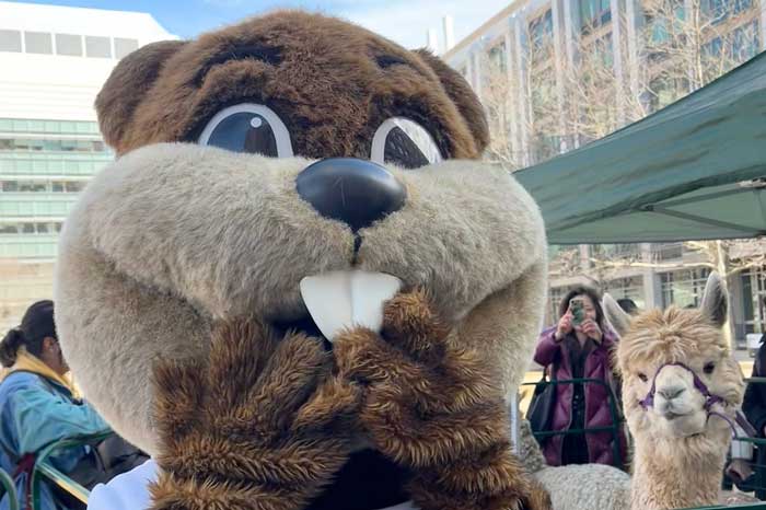 The Tim the Beaver mascot covers his mouth in excitement, and a cute alpaca is in the background. The community takes photos and smiles in the background