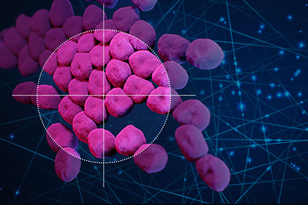 pink colored bacteria highlighted by a target and surrounded by a neural network