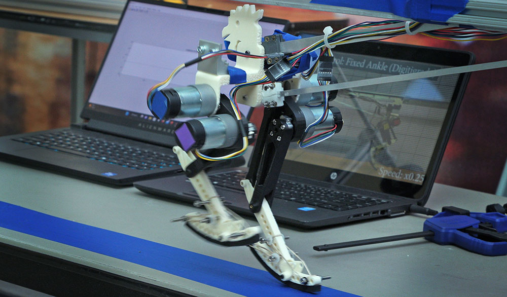 A small robot has chicken-type legs and walks on a piece of blue tape. 2 laptops are in the background.