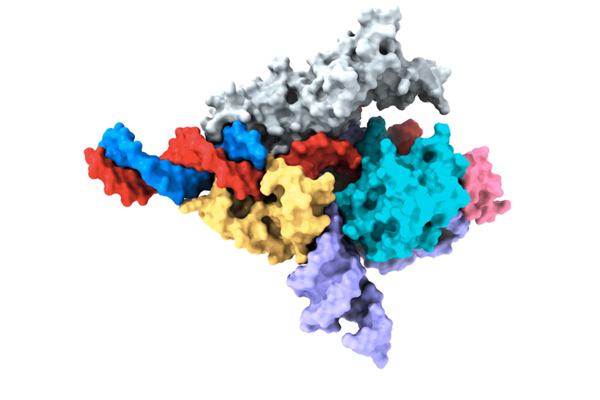 A Cryo-EM map of a Fanzor protein