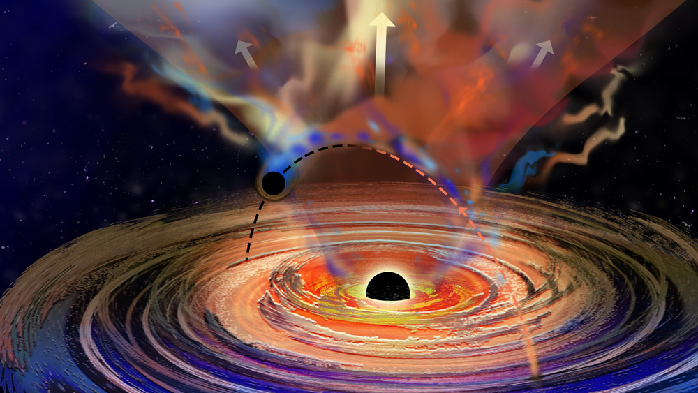A large black hole has a spinning disk around it. It also has a magnetic field represented as an orange cone on top of the black hole. A tiny black hole punches in and out through the disk as it orbits the larger one. Plumes from the large disk emerge when the tiny black hole travels. The plumes are especially strong in the magnetic fields.