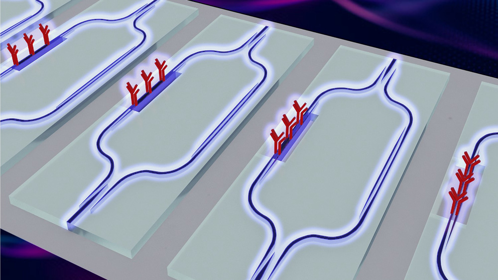 An illustration of the rectangular chip surface showing blue strip waveguides and red Y-shaped slots on the blue strips.