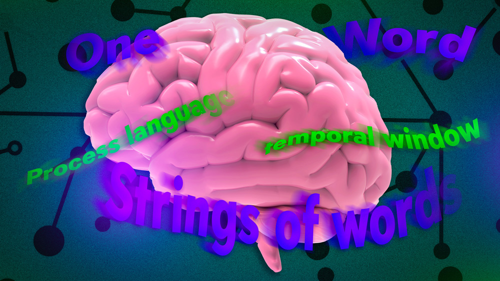 Brain surrounded by words like "One; word; temporal window; string of words."
