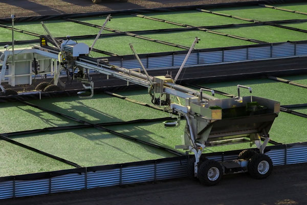 machines and vats of green water
